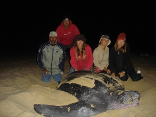 Grupo de voluntarios